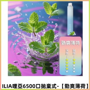 ILIA BAR 4哩啞一次性大容量6500口拋棄式電子煙【勁爽薄荷】