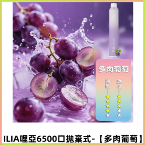 ILIA BAR 4哩啞一次性大容量6500口拋棄式電子煙【多肉葡萄】