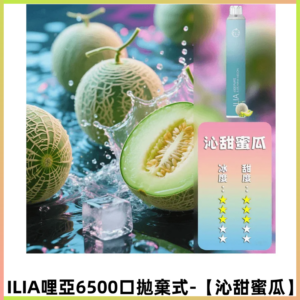 ILIA BAR 4哩啞一次性大容量6500口拋棄式電子煙【沁甜蜜瓜】