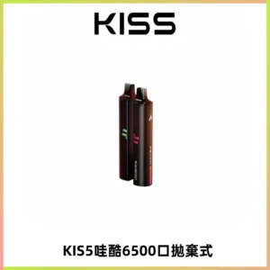 KIS5WAGOO哇酷6500口拋棄式 | 自由混搭雙口味 | 雙芯組合