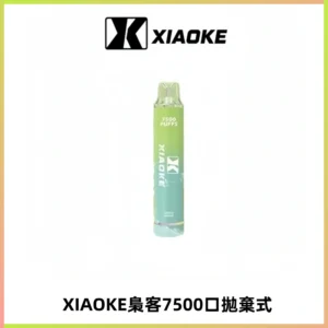 XIAOKE梟客7500Puffs跑馬燈拋棄式電子煙 可發光一次性